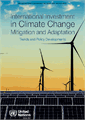 International Investment in Climate Change Mitigation and Adaptation: Trends and Policy Developments
